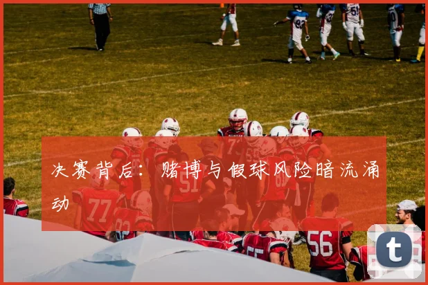 决赛背后：赌博与假球风险暗流涌动