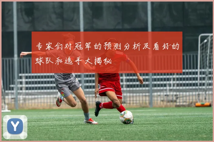 专家们对冠军的预测分析及看好的球队和选手大揭秘