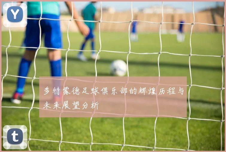 多特蒙德足球俱乐部的辉煌历程与未来展望分析