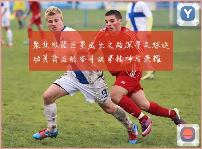 聚焦绿茵巨星成长之路探寻足球运动员背后的奋斗故事精神与荣耀