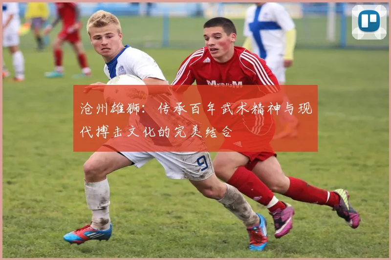 沧州雄狮：传承百年武术精神与现代搏击文化的完美结合