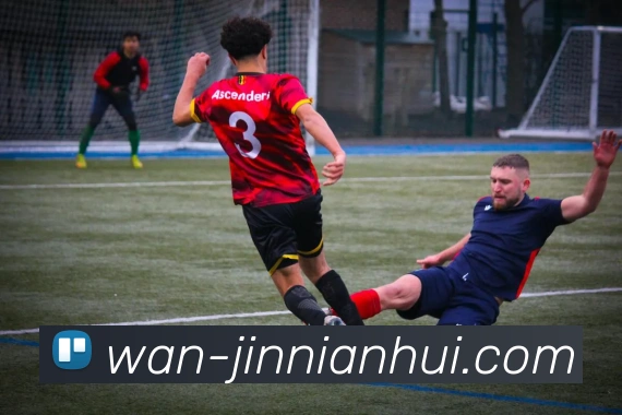 jinnianhui平台生态图