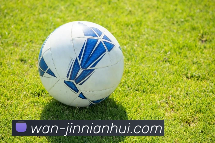 jinnianhui全站App